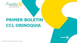 PRIMER BOLETIN CCL ORINOQUIA