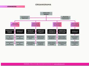 Organigrama Criminova