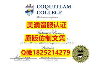 国内在哪里购买【Seneca毕业证成绩单办理）Q微：1825214279制作Seneca本科学历伪造圣力嘉学院大学硕士学位证书精仿圣力嘉学院文凭证书认证留信网和入学offer造假Seneca College Diploma,Transcript