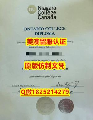 英国毕业证书【Humber毕业证成绩单本科学历）Q微：1825214279制作Humber本科学历伪造汉博学院大学硕士学位证书精仿汉博学院文凭证书认证留信网和入学offer造假Humber College Diploma,Transcript