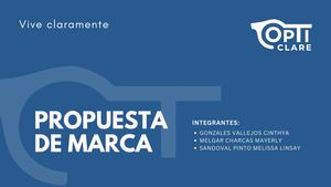 Informe Ublicitario