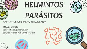 Helmintos Parásitos