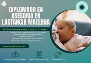 Diplomado Lactancia Materna (1)