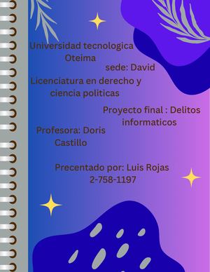 Delitos Ciberneticos
