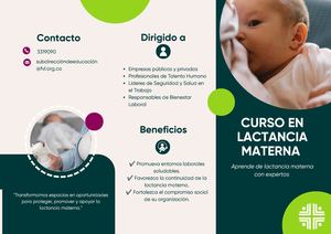 Brochure Curso En Lactancia