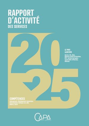 Rapport D Activite 2025
