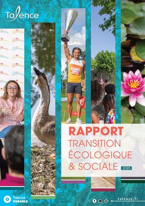 Rapport Transition 2025 Hd