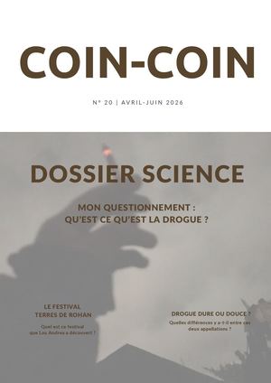 Coin Coin N°20