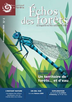 Échos des forêts - Printemps-été 2026