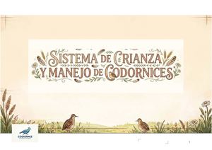 Pdf Codornices Rojas Soto Rojas Calameo S15