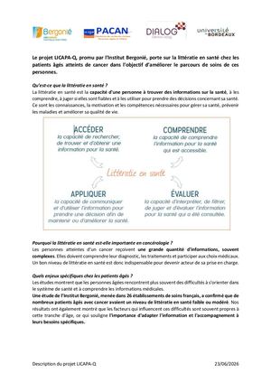 Description Projet Licapa Q