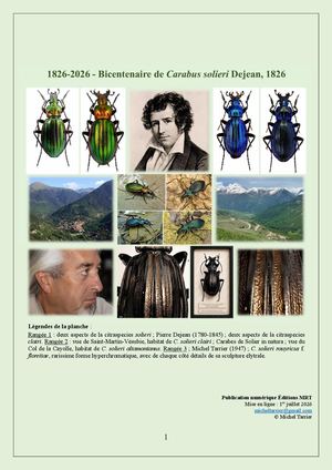 1826 2026 – Bicentenaire de Carabus solieri Dejean, 1826