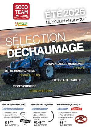 Mailing Ete Socoteam