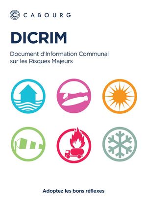 DICRIM