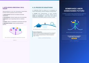 Folleto Triptico Creativo