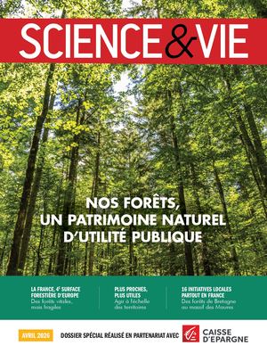 Cahier Spécial Science Et Vie : Nos Forêts