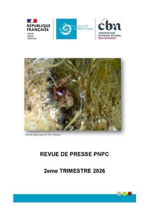 RP PNPC 2EME TRIMESTRE 2026