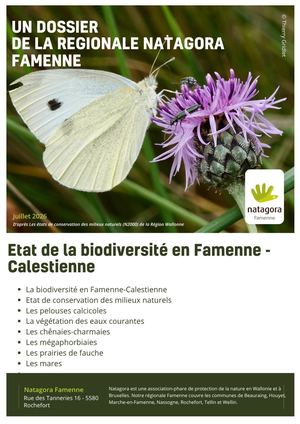 La Biodiversité En Danger