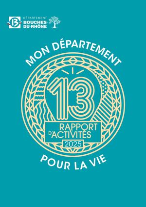 Conseil Départemental 13 : Rapport Activité 2025