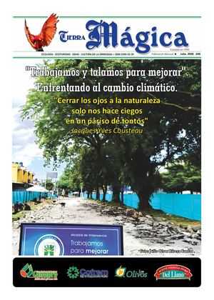 Tierra Mágica 264