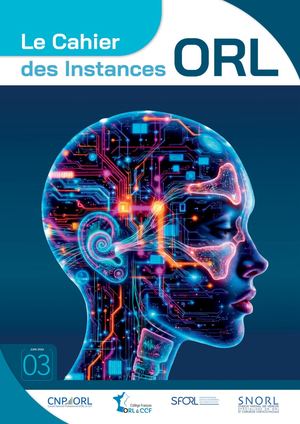 Cahier Instances Orl N3 210x297mm 28 Pages V6 Calameo