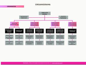 Organigrama Criminova (1)