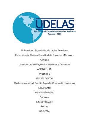 Revista Digital Practica