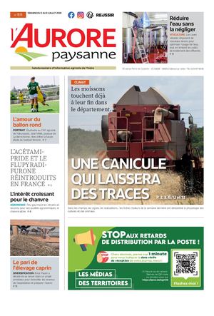 Aurore Paysanne N°1511
