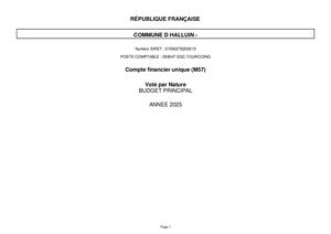 CM 25-06-26 16 Annexe 2 Budget Principal CFU maquette