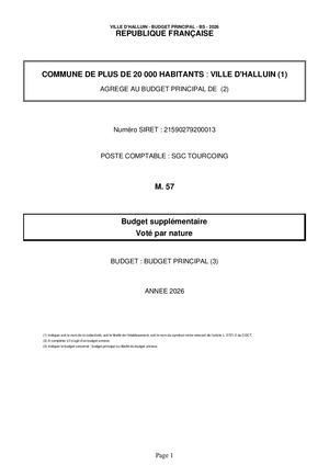 CM 25-06-26 22 Annexe 2 Budget Principal Budget supplémentaire maquette