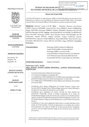 CM 25-06-26 24 B Cinéma budget supplémentaire