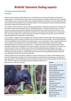 Outing Reports July2026