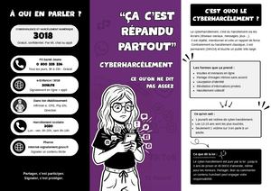 Sensibilisation sur le cyber harcelement - Collège Lycée