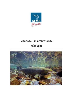 Actividades 2025