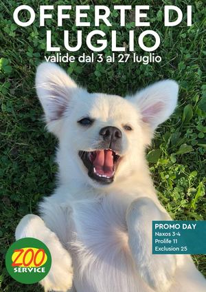 Volantino Di Luglio
