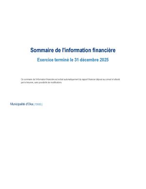 Sommaire du Rapport Financier 2025