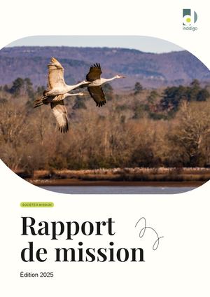 Inddigo | Rapport de Mission 2025