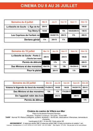 Programme cinéma du 8 au 26 juillet