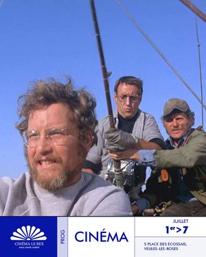 Programme du cinema Rex de Veules les Roses du 3 au 7 juillet