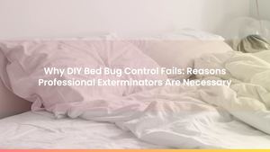 Why DIY Bed Bug Control Fails: Reasons Professional Exterminators Are Necessary