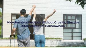 Mice Removal Methods Without Cruelty: Effective Alternatives For Homeowners