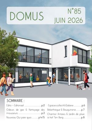 Domus N°85