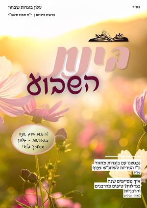 בינת השבוע פרשת פינחס