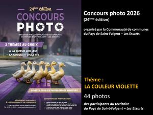 La Couleur Violette Participants Du Territoire Du Pays De Saint Fulgent Les Essarts