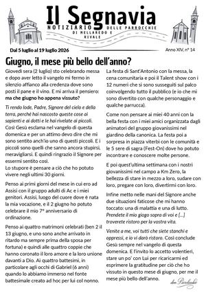 Anno XIV, n°14