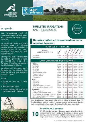 Bulletin irrigation - Été 2026 n°6