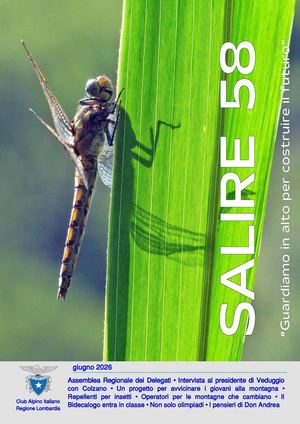 Salire 58