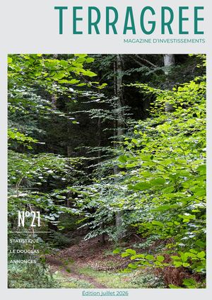 Magazine d'investissements juillet