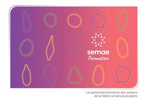 Brochure SEMAE Formation 2026