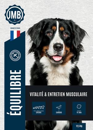 Chien Equilibre (DMA93075).